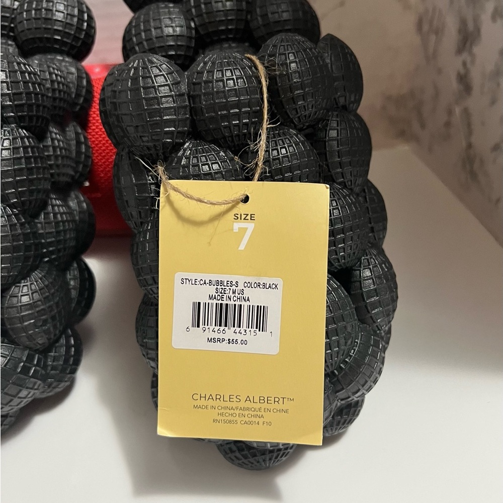 Charles Albert Slides - image 2